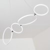 Rodekro Pendant Light LED white, 1-light source