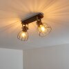 Bitterroot Ceiling Light brown, Dark wood, 2-light sources