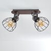 Bitterroot Ceiling Light brown, Dark wood, 2-light sources