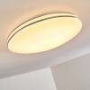 GENTHIN Ceiling light LED white, 1-light source