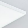 BANKURA Ceiling Light LED white, 1-light source, Remote control