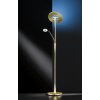 Trio-Leuchten Quebec Floor Lamp LED brass, 2-light sources
