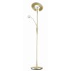 Trio-Leuchten Quebec Floor Lamp LED brass, 2-light sources
