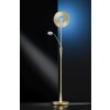 Trio-Leuchten Quebec Floor Lamp LED brass, 2-light sources