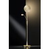 Trio-Leuchten Quebec Floor Lamp LED brass, 2-light sources