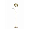 Trio-Leuchten Quebec Floor Lamp LED brass, 2-light sources