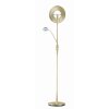 Trio-Leuchten Quebec Floor Lamp LED brass, 2-light sources