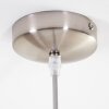 Cispus Pendant Light matt nickel, 1-light source