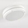 Wollongong outdoor ceiling light LED white, 1-light source