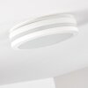 Wollongong outdoor ceiling light LED white, 1-light source