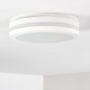 Wollongong outdoor ceiling light LED white, 1-light source