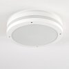 Wollongong outdoor ceiling light LED white, 1-light source
