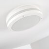 Wollongong outdoor ceiling light LED white, 1-light source