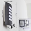 Outdoor Wall Light Alslev anthracite, 1-light source, Motion sensor