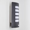 Outdoor Wall Light Alslev anthracite, 1-light source, Motion sensor