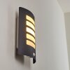 Outdoor Wall Light Alslev anthracite, 1-light source, Motion sensor