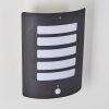 Outdoor Wall Light Alslev anthracite, 1-light source, Motion sensor