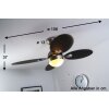 Globo WADE fan stainless steel, matt nickel, 1-light source