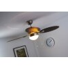 Globo WADE fan stainless steel, matt nickel, 1-light source