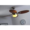 Globo WADE fan stainless steel, matt nickel, 1-light source