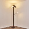 Floor Lamp Lasona LED brown, silver, 2-light sources