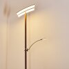 Floor Lamp Lasona LED brown, silver, 2-light sources