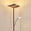 Floor Lamp Lasona LED brown, silver, 2-light sources
