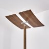 Floor Lamp Lasona LED brown, silver, 2-light sources