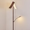 Floor Lamp Lasona LED brown, silver, 2-light sources
