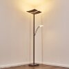 Floor Lamp Lasona LED brown, silver, 2-light sources