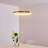 Canisteo Pendant Light LED gold, 1-light source