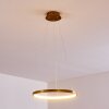 Canisteo Pendant Light LED gold, 1-light source