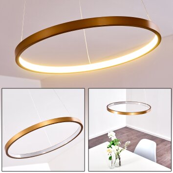 Canisteo Pendant Light LED gold, 1-light source