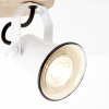 Brilliant Seed Spotlight Dark wood, white, 2-light sources