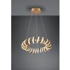 Trio CURL Pendant Light LED gold, 1-light source