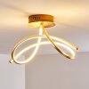 WENGI Ceiling light LED gold, 1-light source