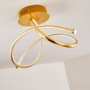 WENGI Ceiling light LED gold, 1-light source