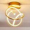 WENGI Ceiling light LED gold, 1-light source