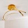 WENGI Ceiling light LED gold, 1-light source