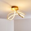 WENGI Ceiling light LED gold, 1-light source