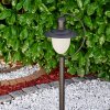 SURNU path light black, 1-light source