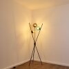 IROQUOIS Floor Lamp colourful, black, 3-light sources