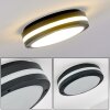 Wollongong outdoor ceiling light LED anthracite, 1-light source