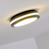 Wollongong outdoor ceiling light LED anthracite, 1-light source