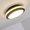 Wollongong outdoor ceiling light LED anthracite, 1-light source