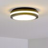 Wollongong outdoor ceiling light LED anthracite, 1-light source