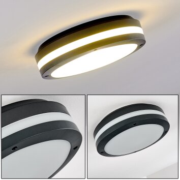 Wollongong outdoor ceiling light LED anthracite, 1-light source