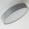 Victoria ceiling light LED white, 1-light source