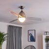 VARAZZE ceiling fan matt nickel, transparent, clear, 1-light source, Remote control
