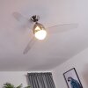 VARAZZE ceiling fan matt nickel, transparent, clear, 1-light source, Remote control